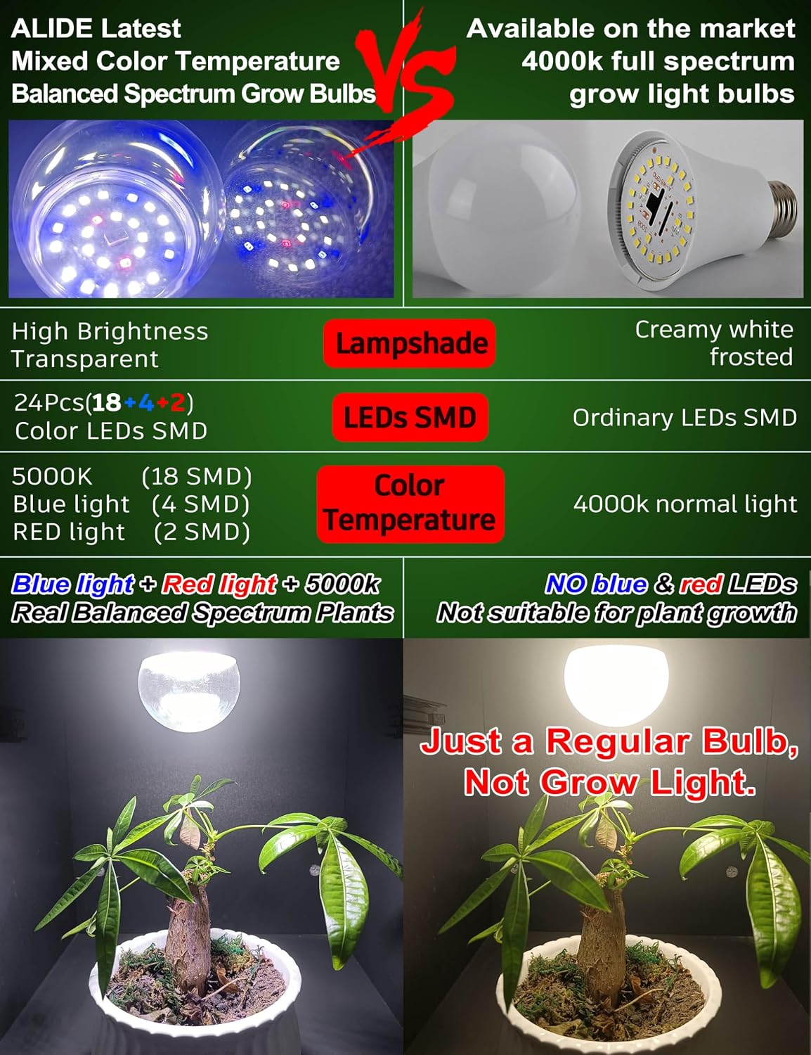 Bombilla LED E12 espectro completo para plantas 5000K rojo azul