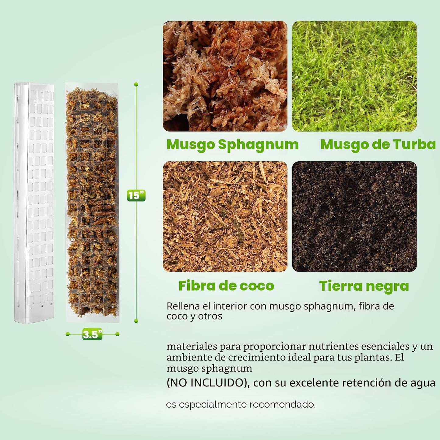 6 Postes Plástico 15pulg para Monstera y Plantas Trepadoras