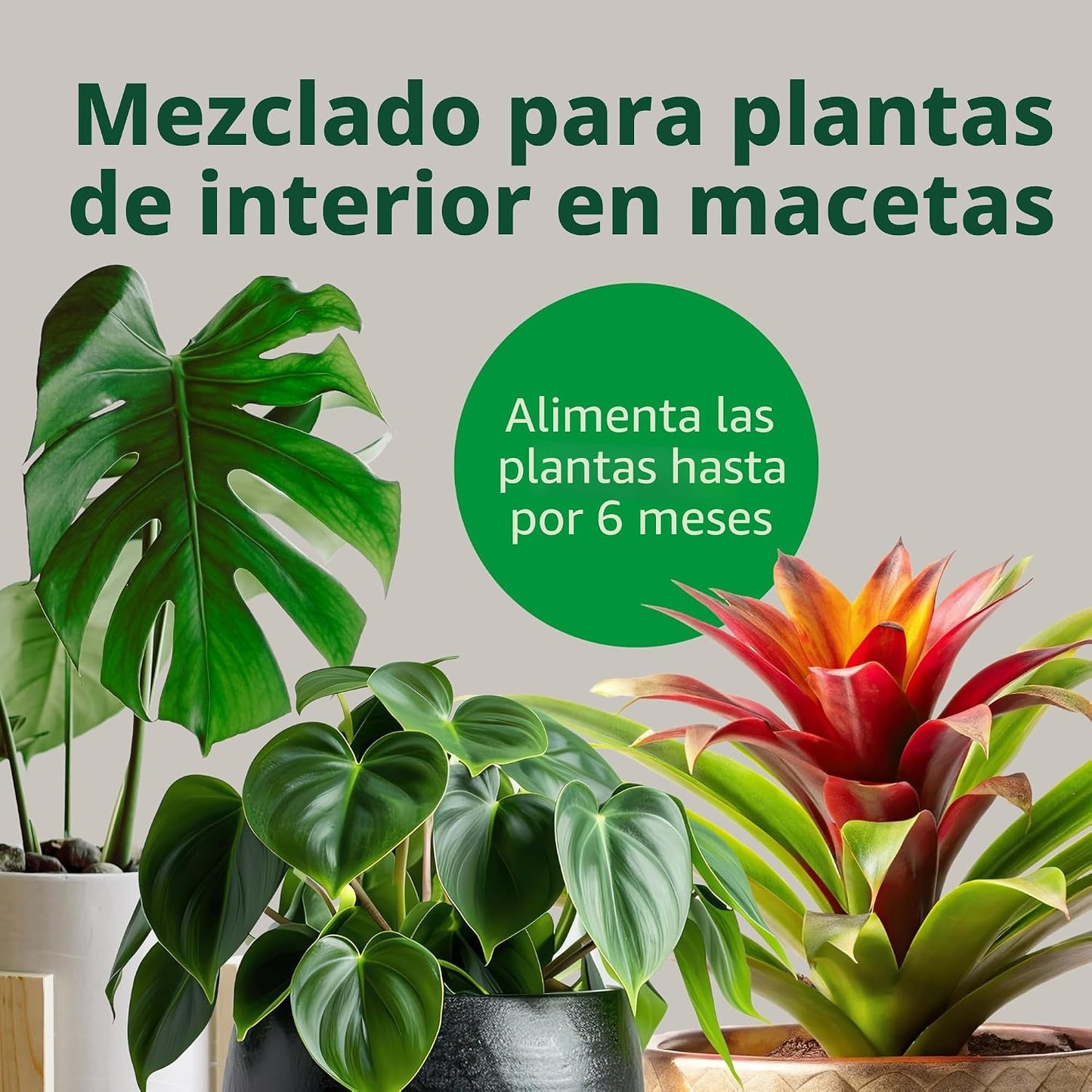 Mezcla para macetas interior 6qt paquete 2 alimenta 6 meses