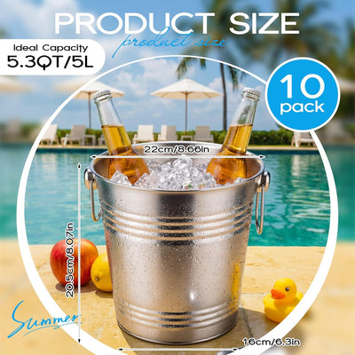 10 Cubos Hielo Acero Inox 5.3qt Plateado para Champán