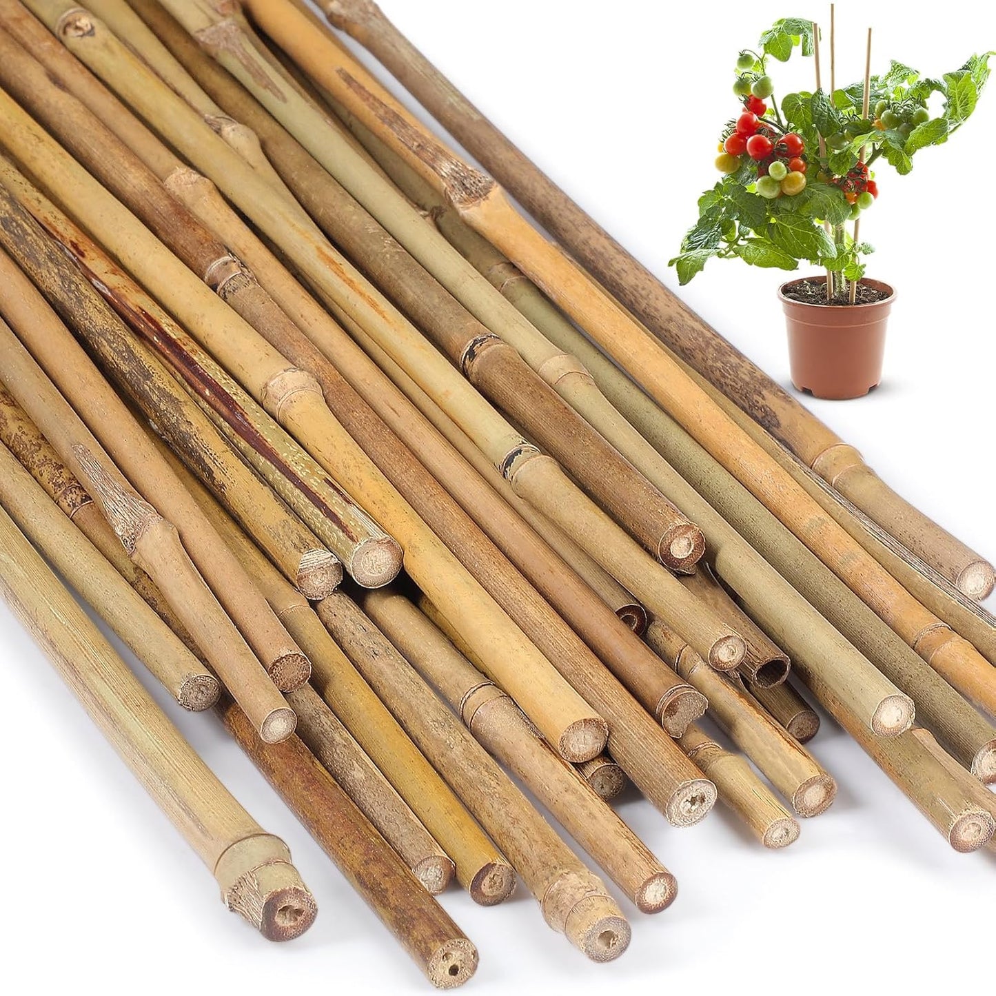 Estacas bambú para plantas trepadoras 30uds 1.35pies