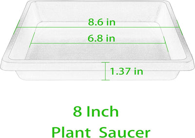 Platillo Cuadrado para Plantas 8pulg Set 2 con Bandeja Colectora