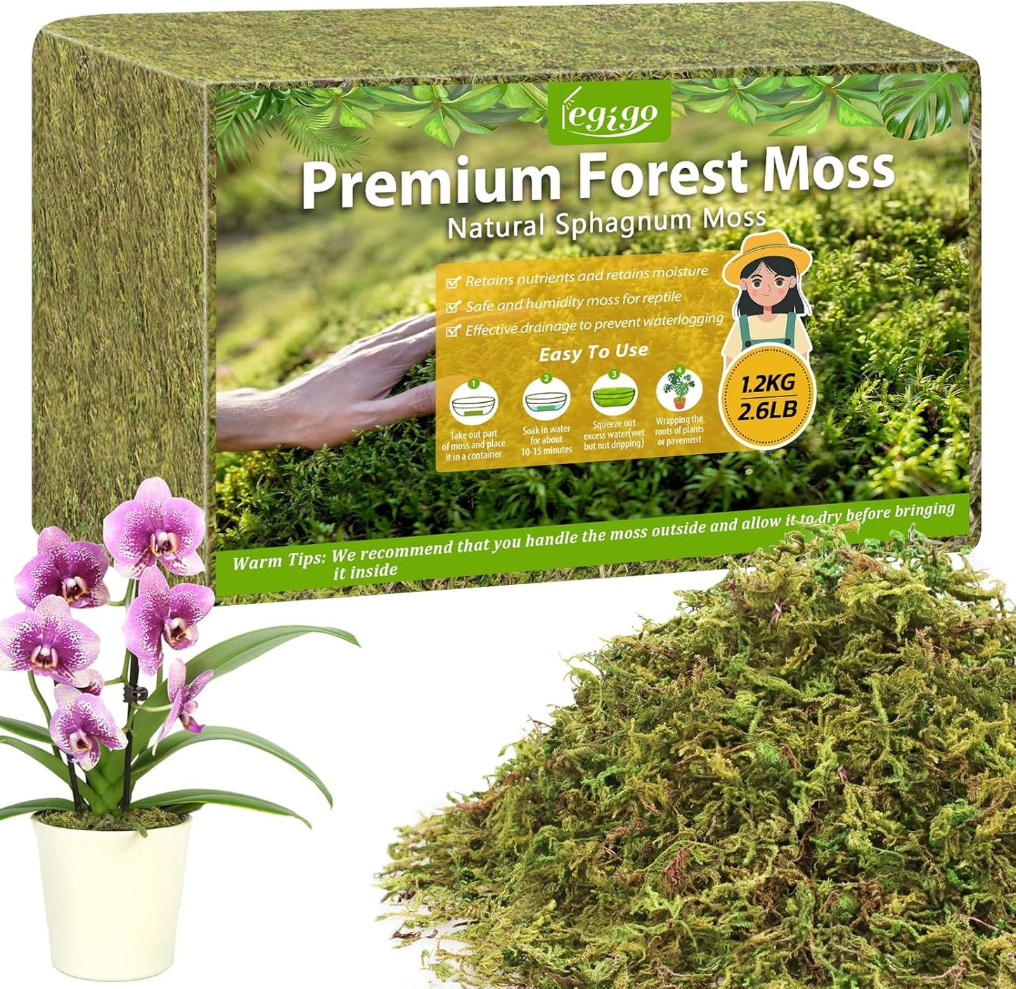 Musgo Sphagnum Verde Natural 2.6lb para Plantas en Maceta
