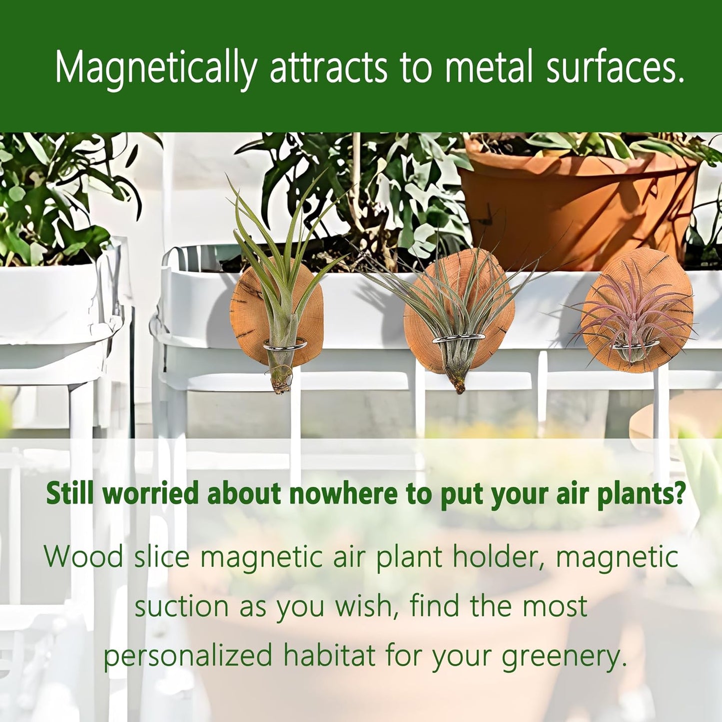 Adhesivo magnético nevera soporte plantas aire madera natural