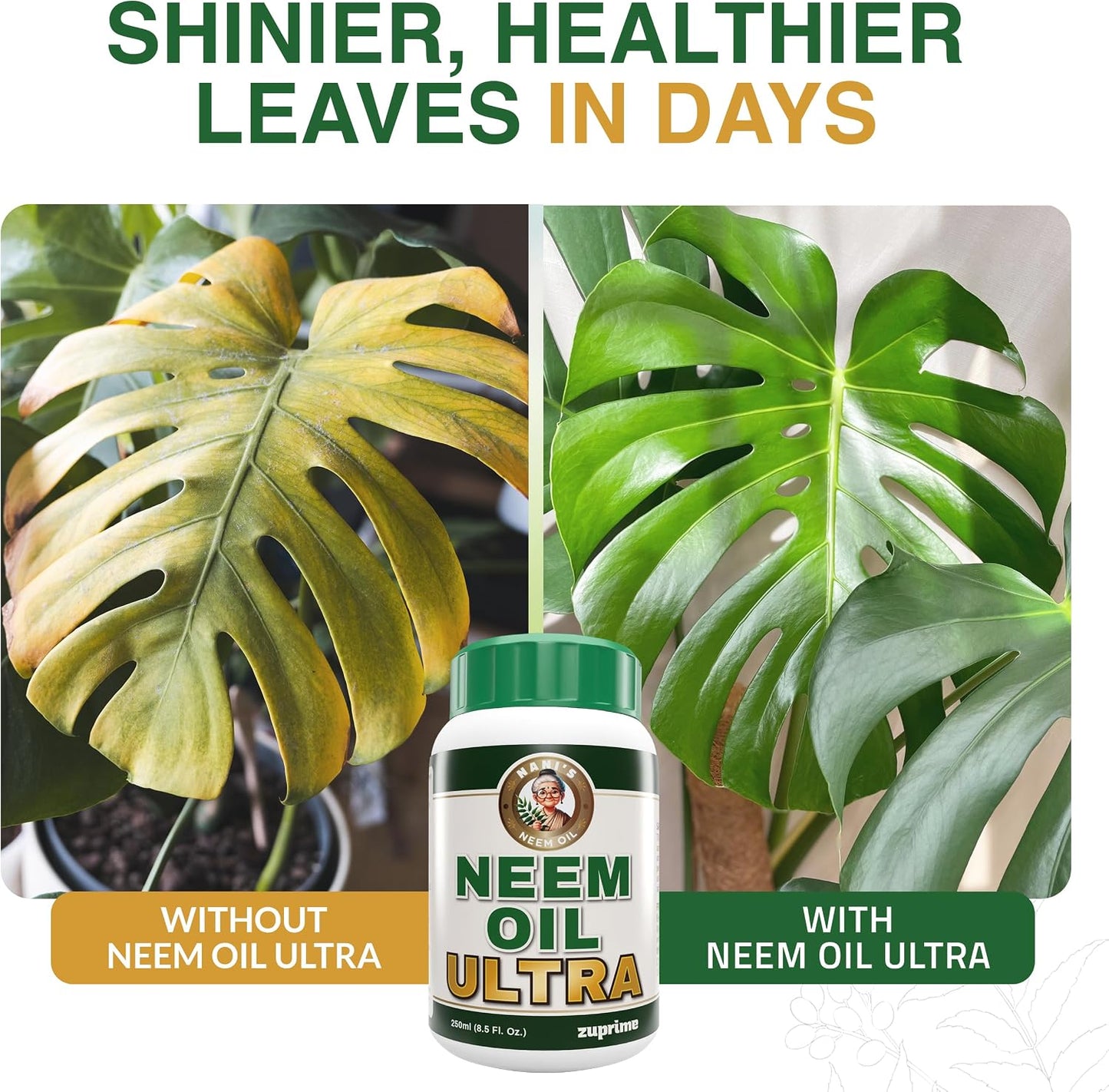 Aceite neem en aerosol 8.5oz para plantas uso interior