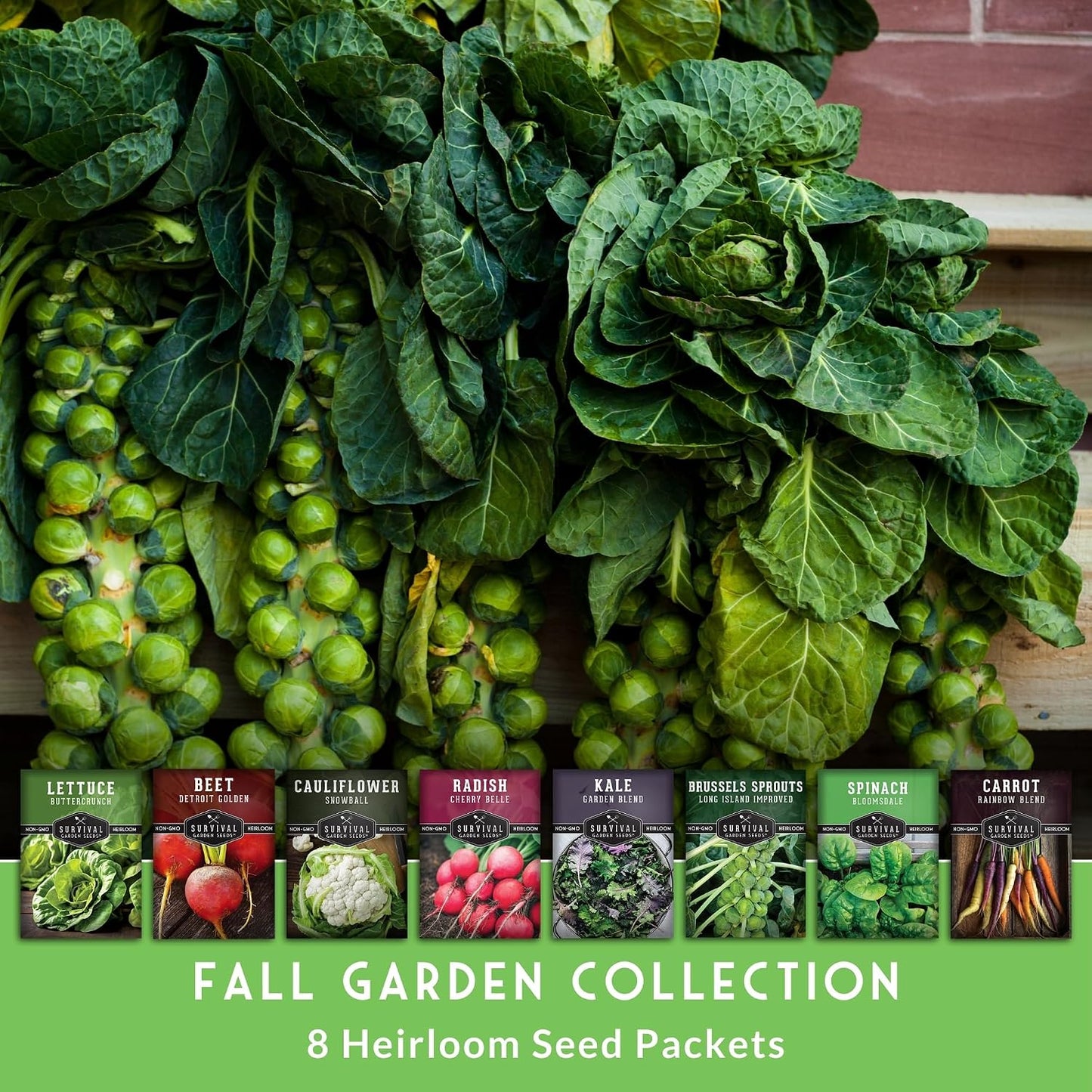 Semillas de verduras otoño e invierno 8 paquetes sin OMG