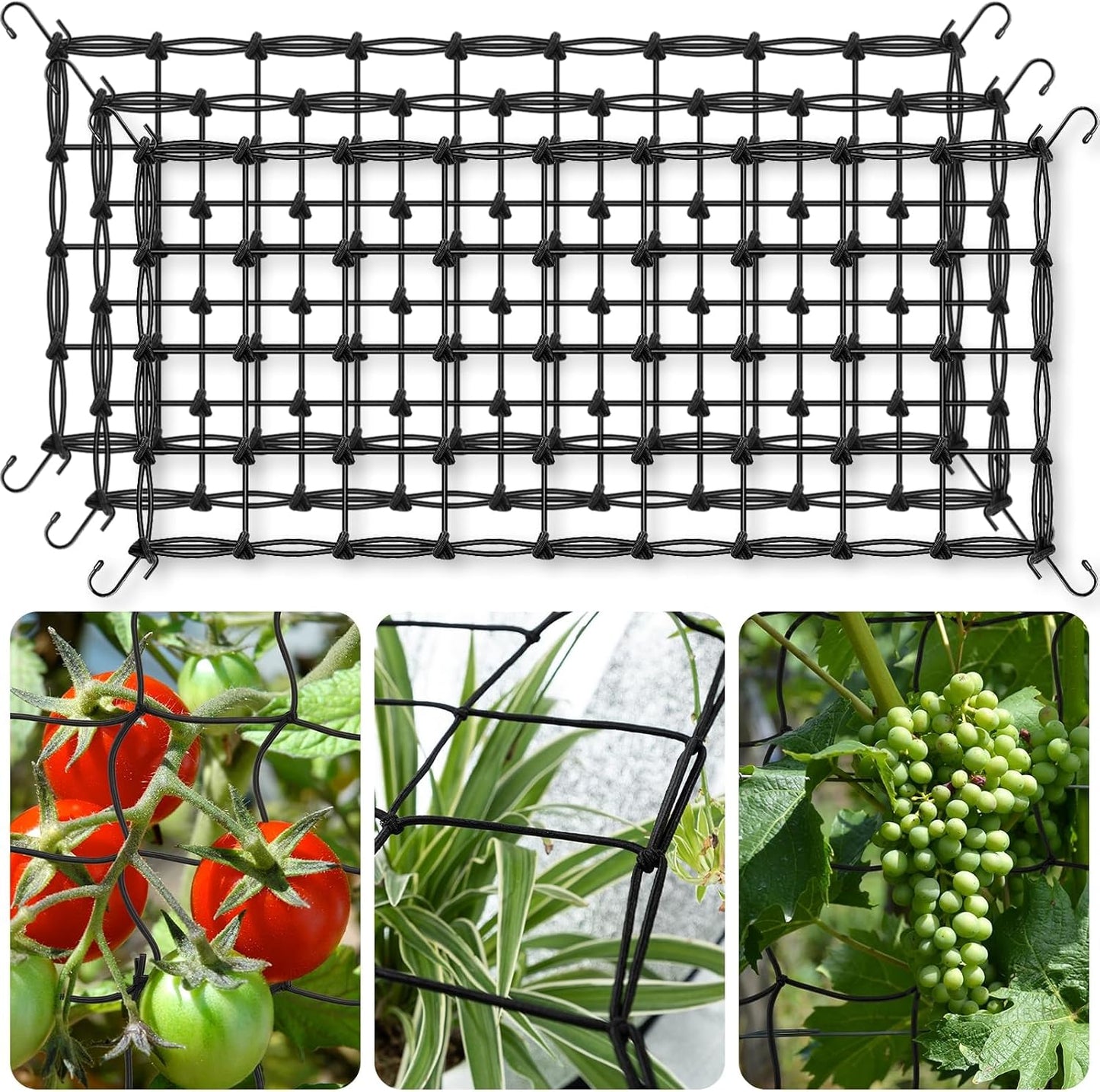 Red enrejado cultivo 2x4ft set 3 elásticas con ganchos acero