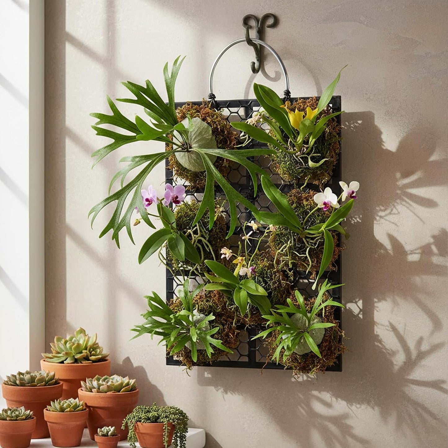 Tabla montaje helecho cuerno ciervo para colgar decoracion