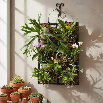 Tabla montaje helecho cuerno ciervo para colgar decoracion