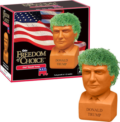 Maceta cerámica decorativa Abraham Lincoln regalo novedoso