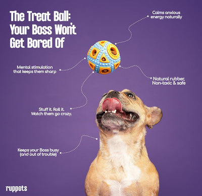 Pelota goma natural para perros pequeños 2uds no tóxico