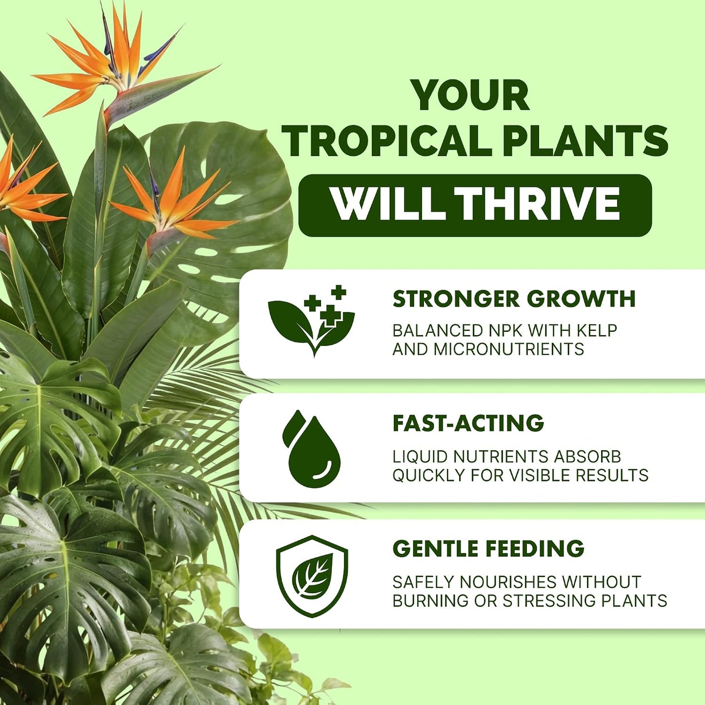 Fertilizante líquido para plantas tropicales 8oz