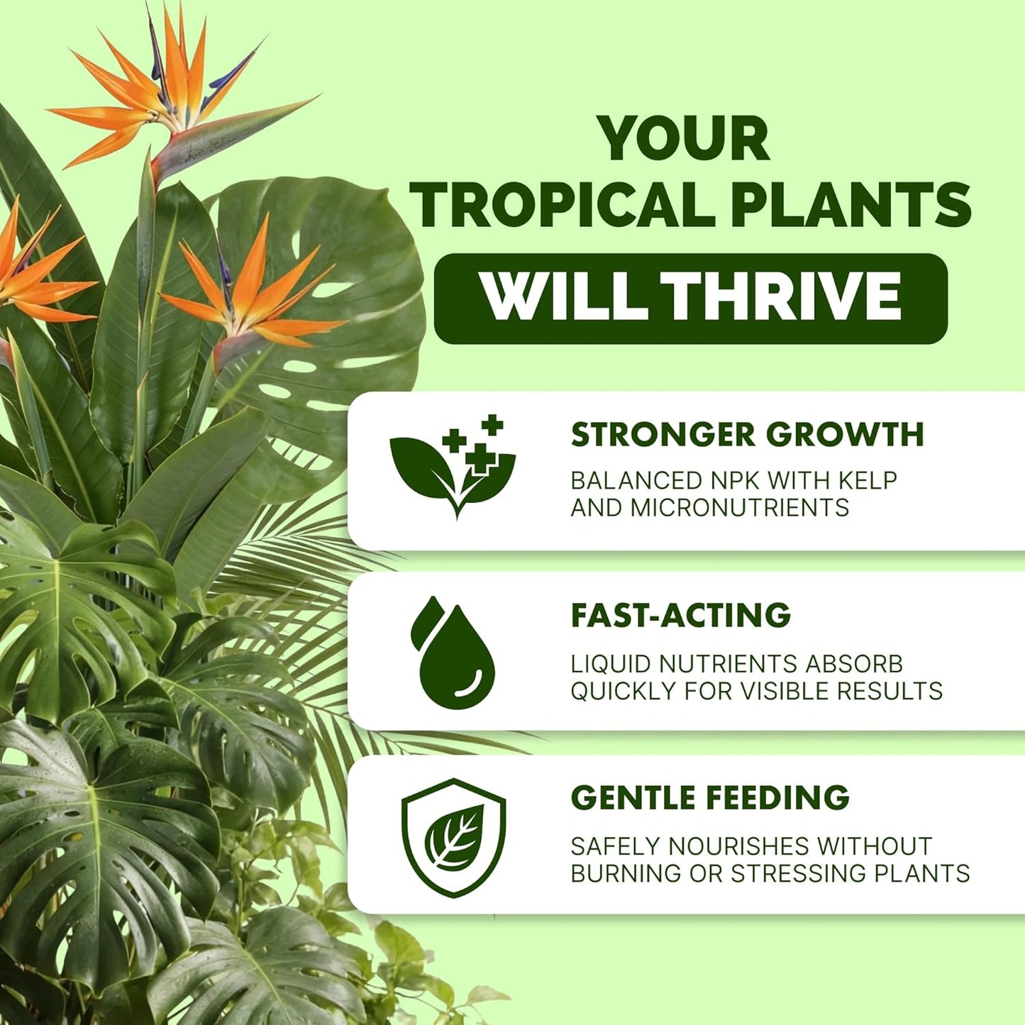 Fertilizante líquido para plantas tropicales 32oz