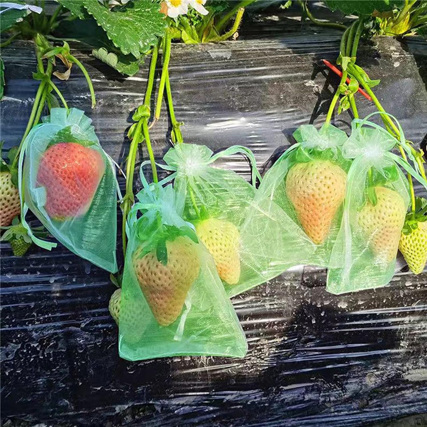 30 Bolsas Malla Frutas 3.9x5.9pulg Reutilizables Jardín