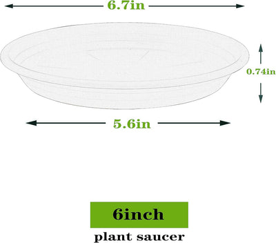5 Pzas Platillos Plantas 6-26pulg Plástico Negro