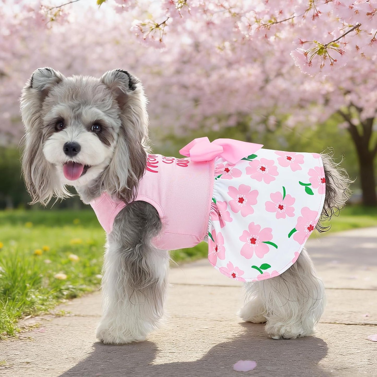 4 Vestidos Perro Lazo Estampado Floral Conejo San Patricio