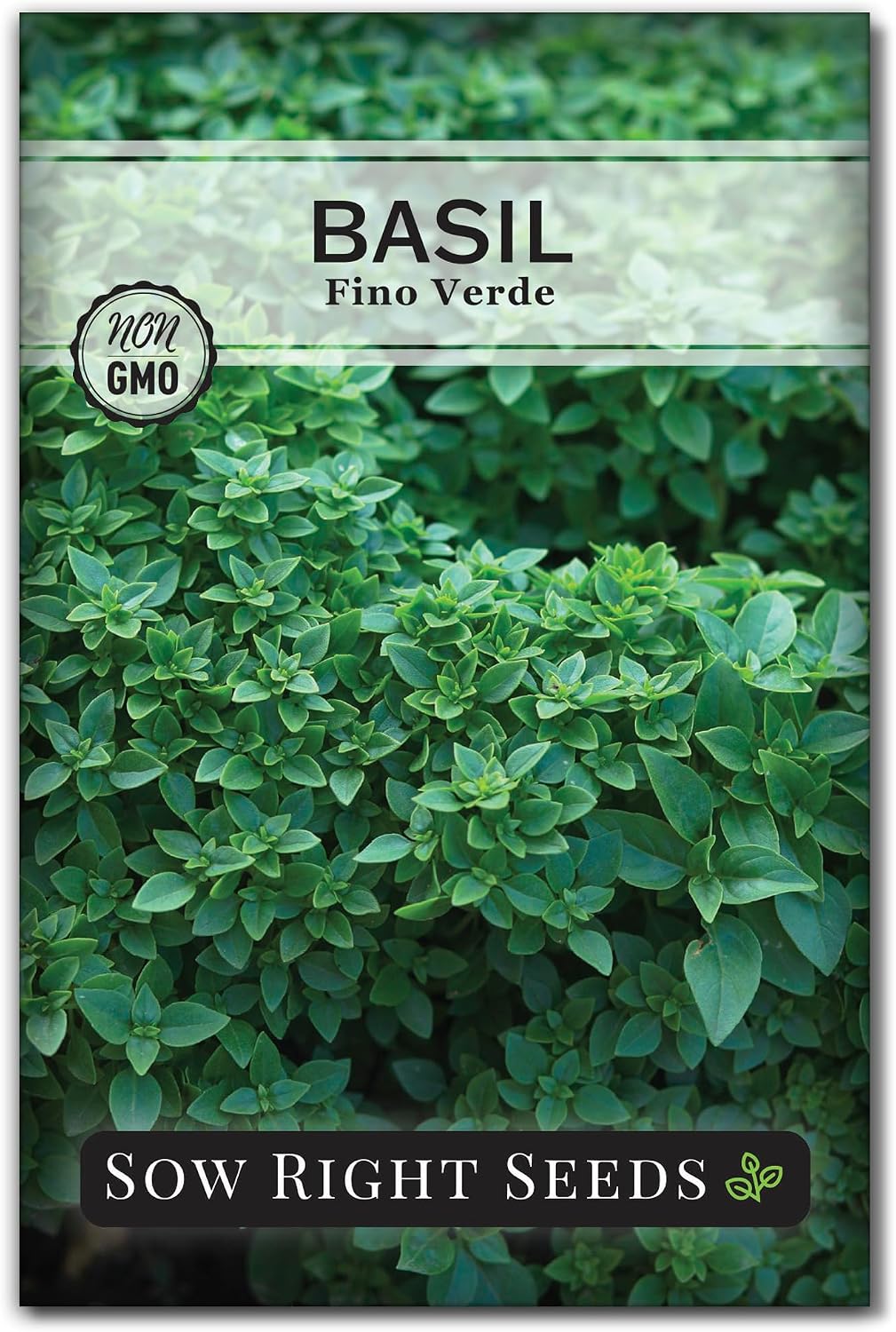 Semilla albahaca verde paquete instrucciones plantar jardín hierbas