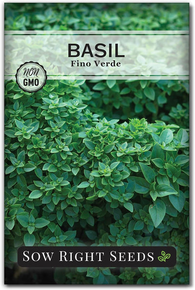 Semilla albahaca verde paquete instrucciones plantar jardín hierbas