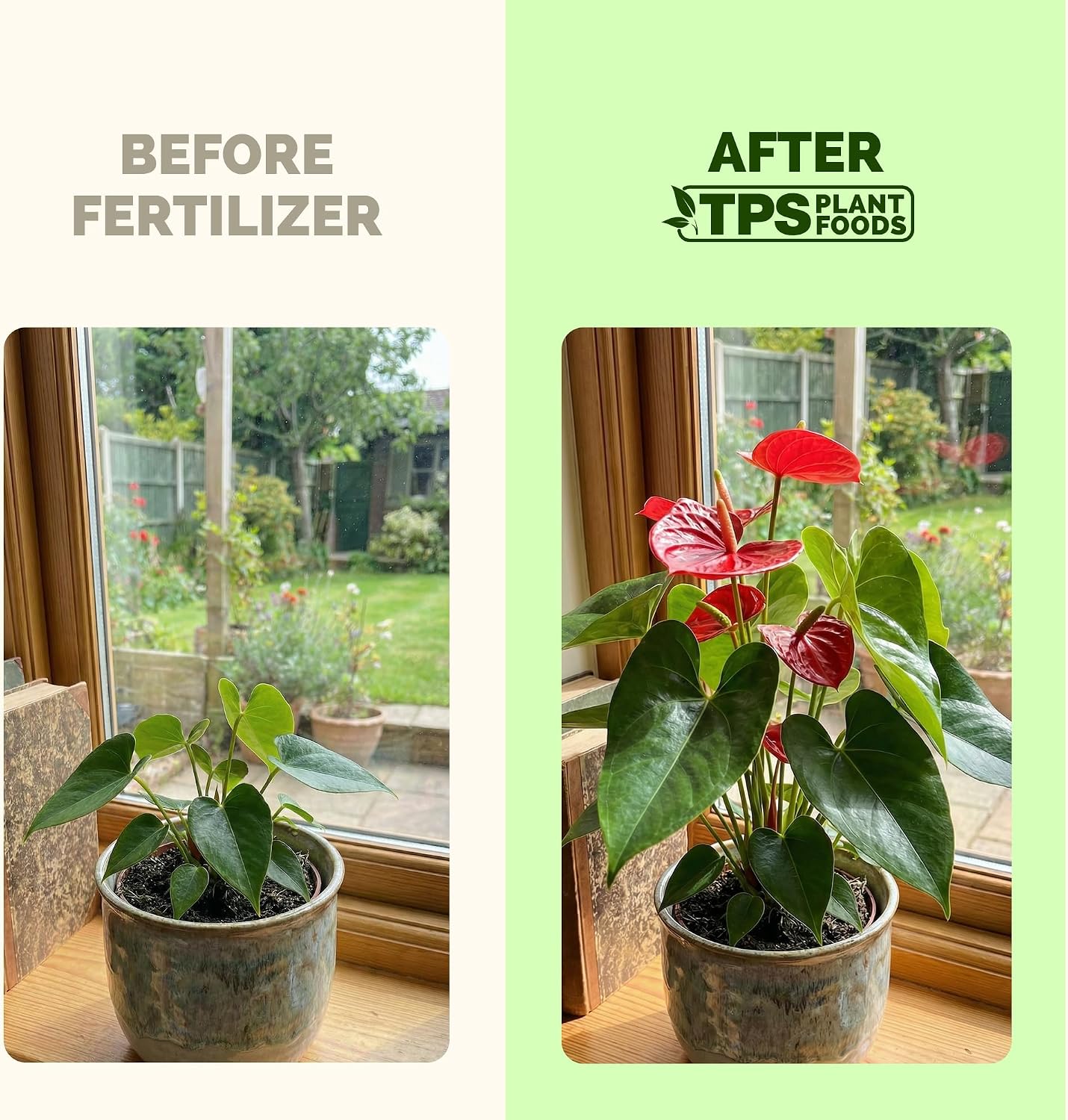 Fertilizante líquido para plantas tropicales 8oz