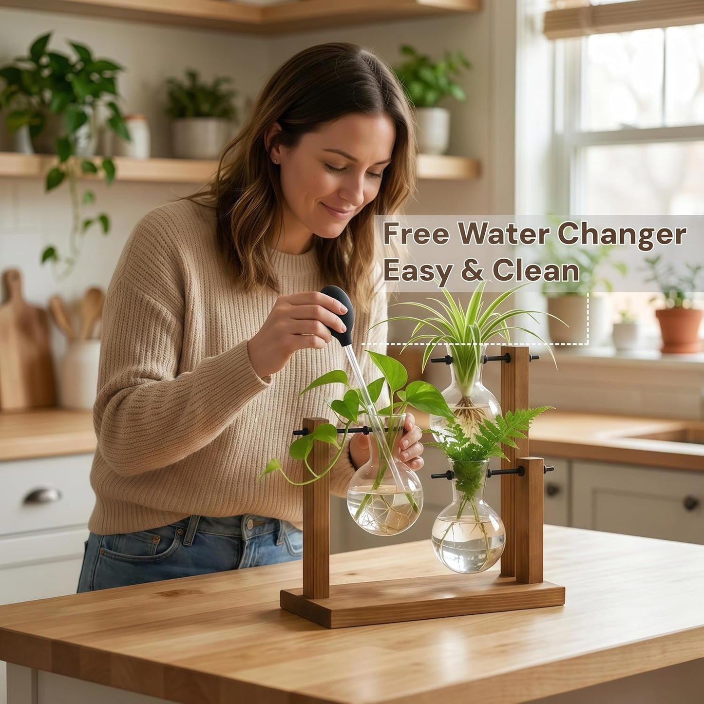 Soporte vidrio para plantas escritorio madera