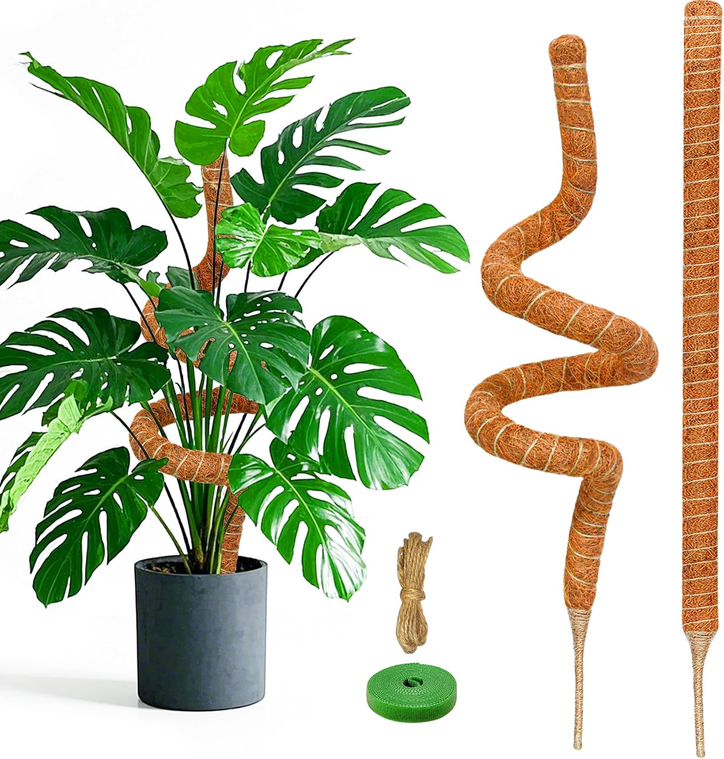 2 Postes Musgo 60pulg Soporte Plantas Monstera
