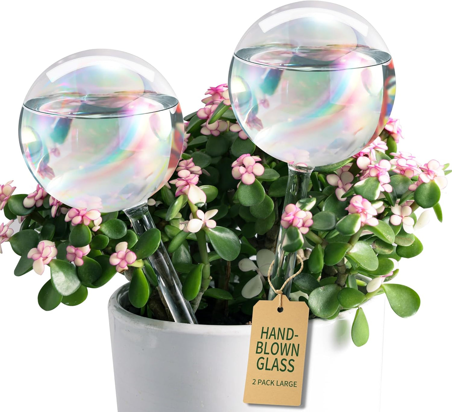 Globos vidrio grueso para riego automático arcoíris