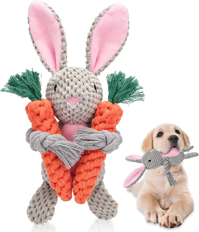 Pack 3 Juguetes Conejo Pascua Perros Chirriante Zanahoria