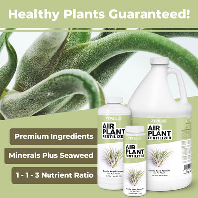 Fertilizante para Tillandsia aerosol foliar 8oz
