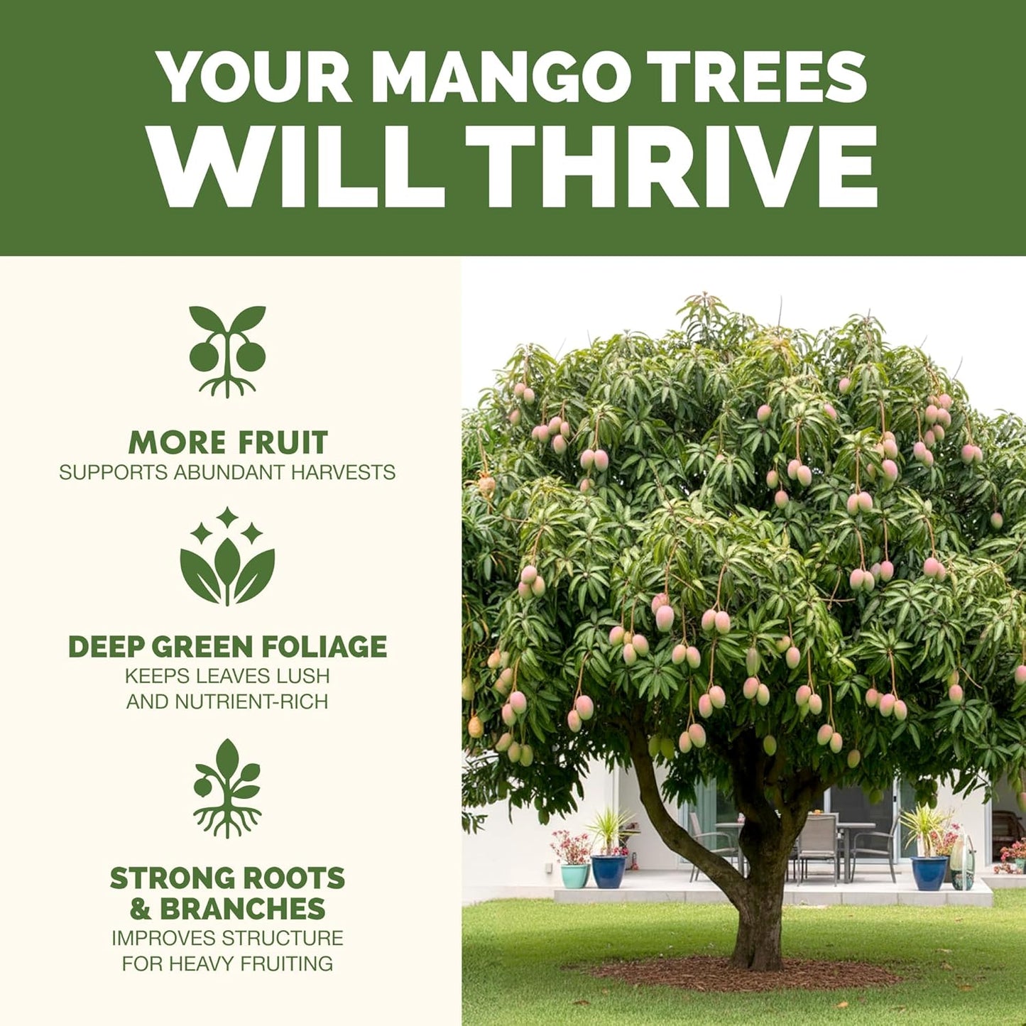 Fertilizante líquido para árbol mango y anacardiáceas 8oz