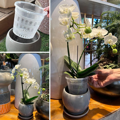 12 Pzas Maceta Orquídea 4.5pulg Ranurada Transpirable