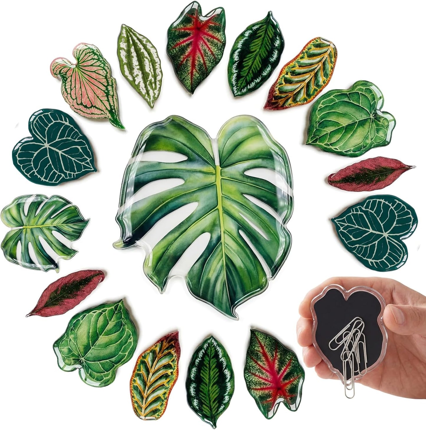 18 imanes de nevera en forma de hoja tropical para cocina y hogar