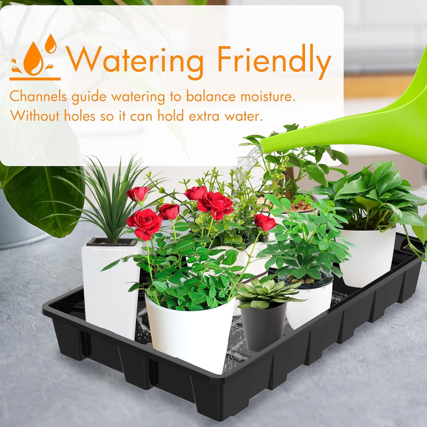 10 Pzas Bandejas Semillas Reutilizables Cultivo Interior
