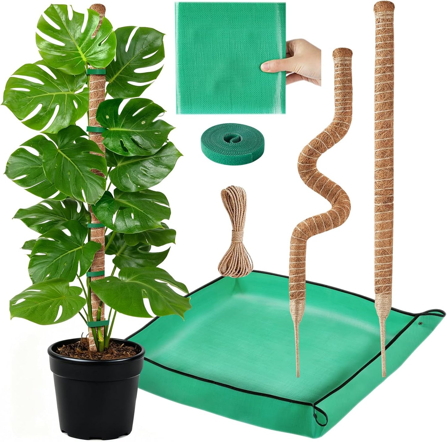 2 Postes Musgo Soporte Plantas Monstera 28pulg