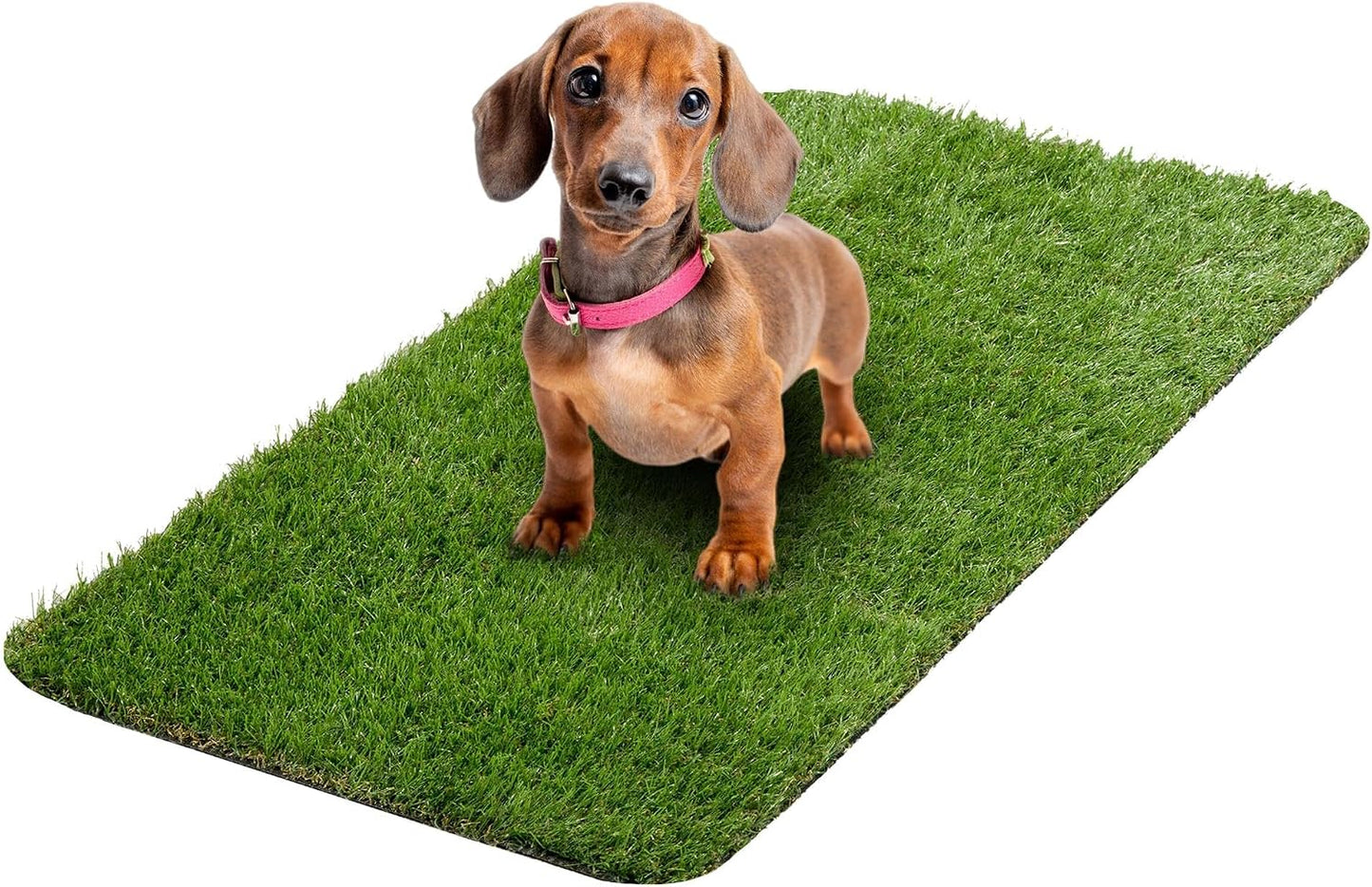 Almohadilla entrenamiento cachorro 15x30pulg reutilizable orina
