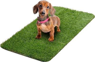 Almohadilla entrenamiento cachorro 15x30pulg reutilizable orina
