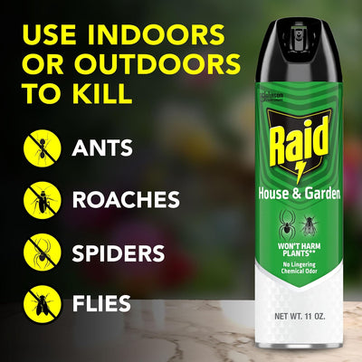 Raid Asesino insectos casa jardín 11oz
