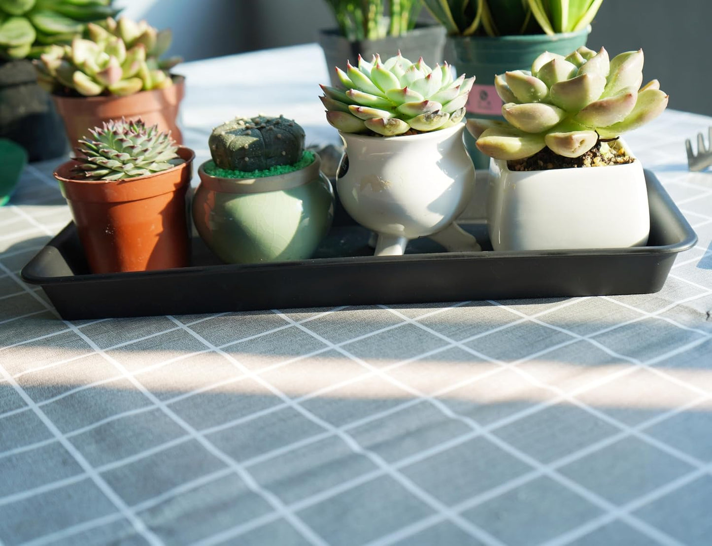 2 Pzas Bandeja Plástico para Plantas 6.5x13pulg Negro