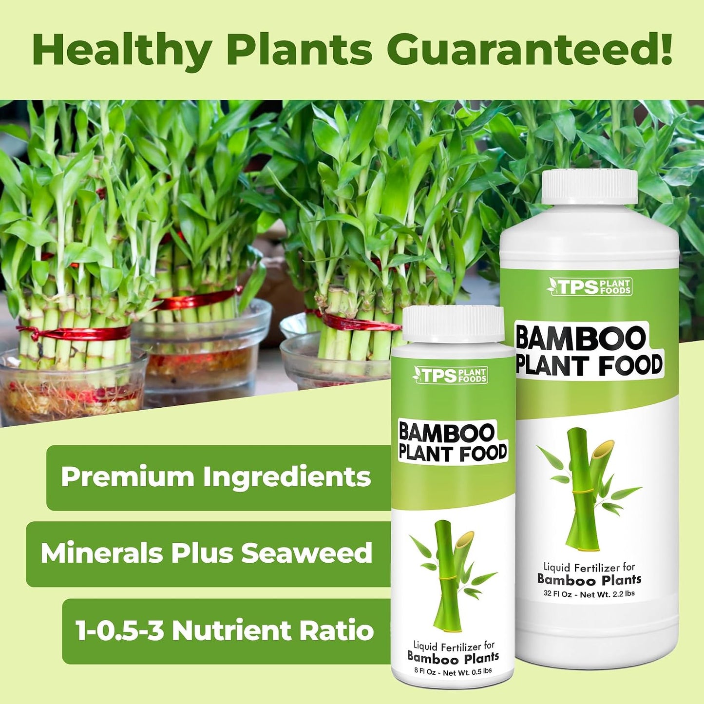 Alimento líquido para plantas bambú 8oz