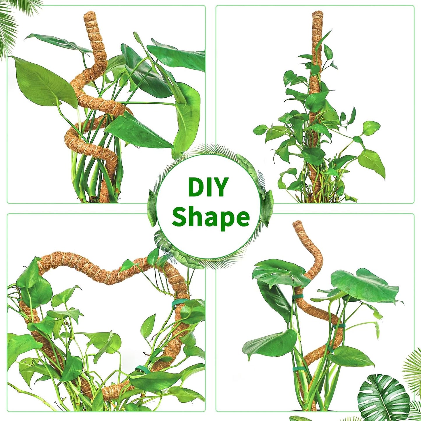4 Postes Musgo 63pulg Soporte Plantas Trepadoras