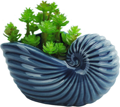 Maceta cerámica suculentas 5pulg forma caracola soporte jabón