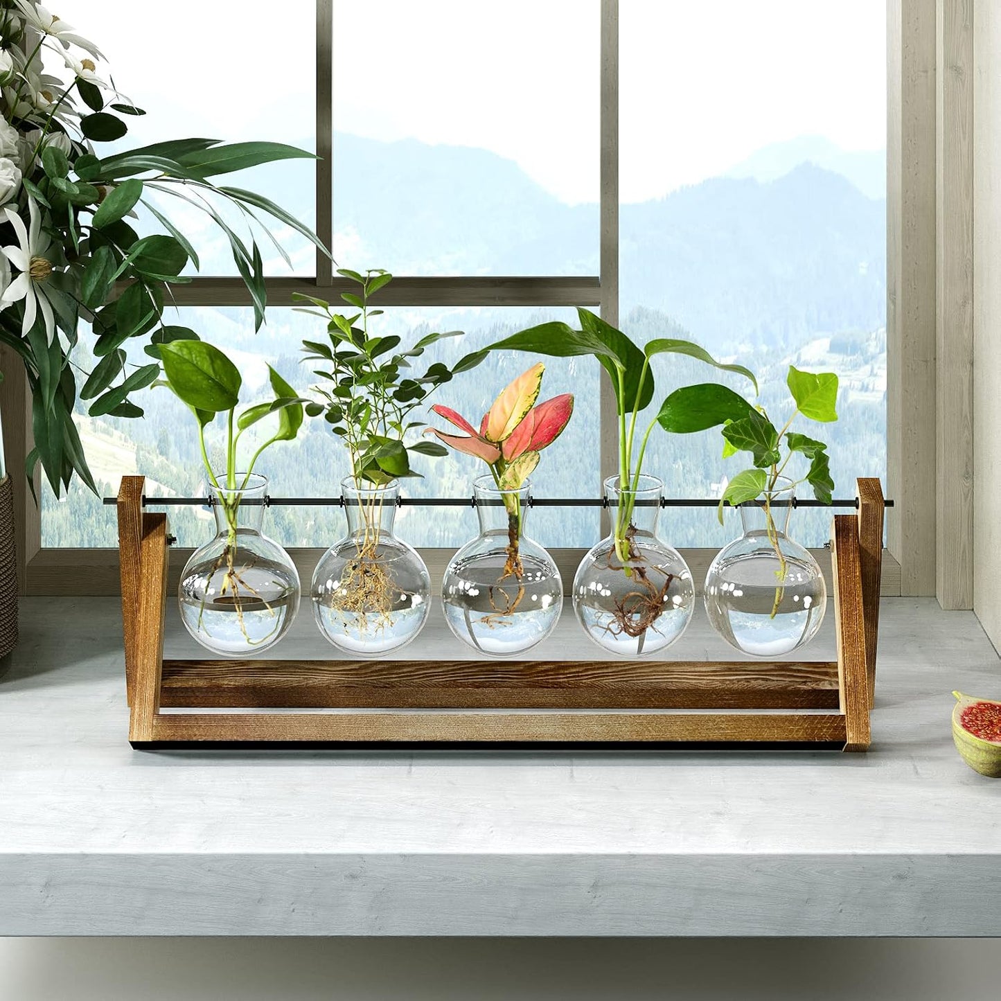 Soporte giratorio para terrario de madera y vidrio