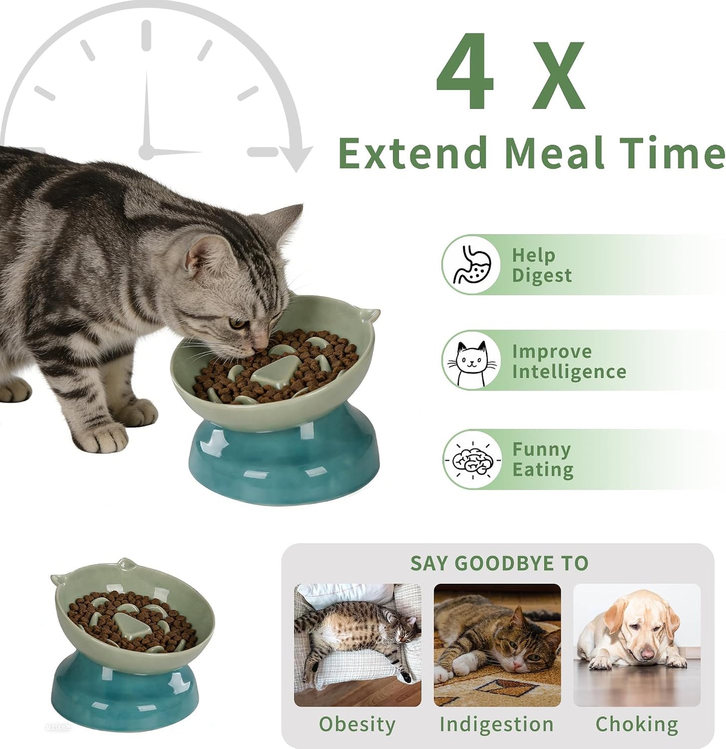 Cuenco gato cerámica inclinado antivómitos verde