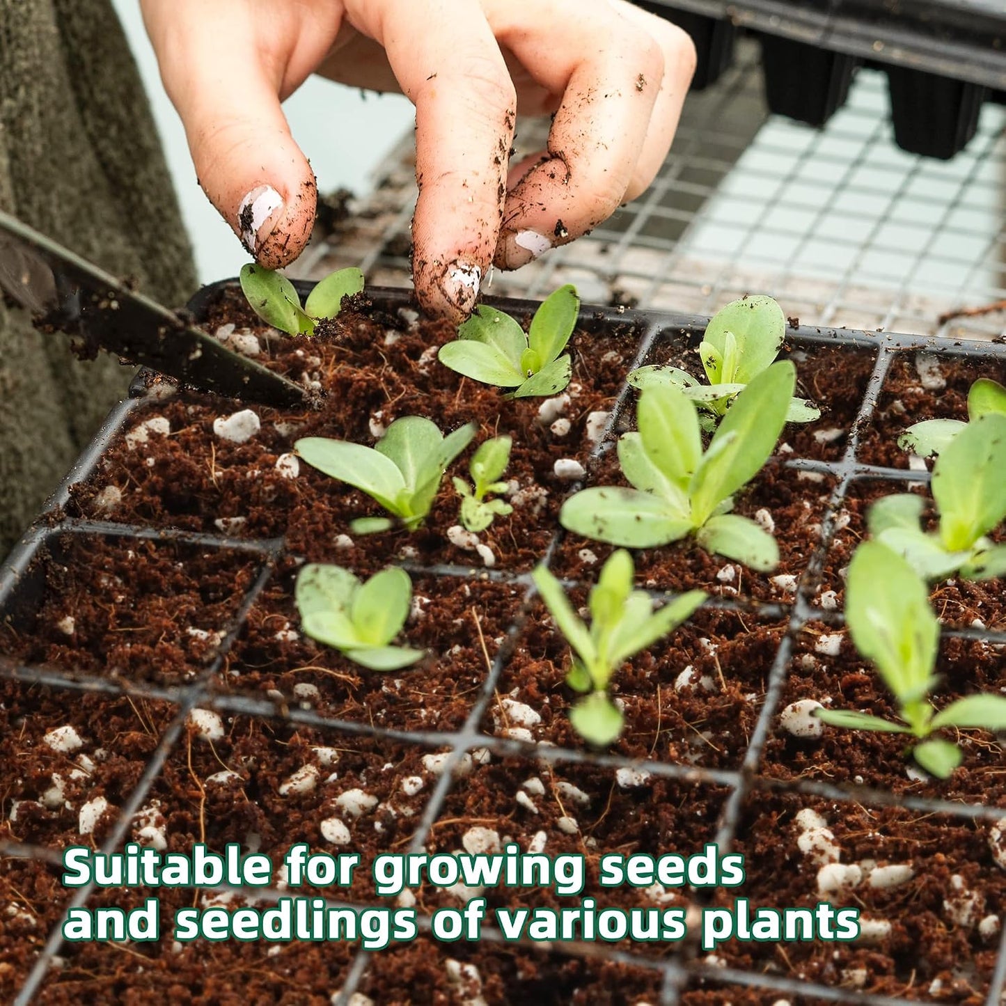 3qt Perlita para suelo de plantas mejora drenaje