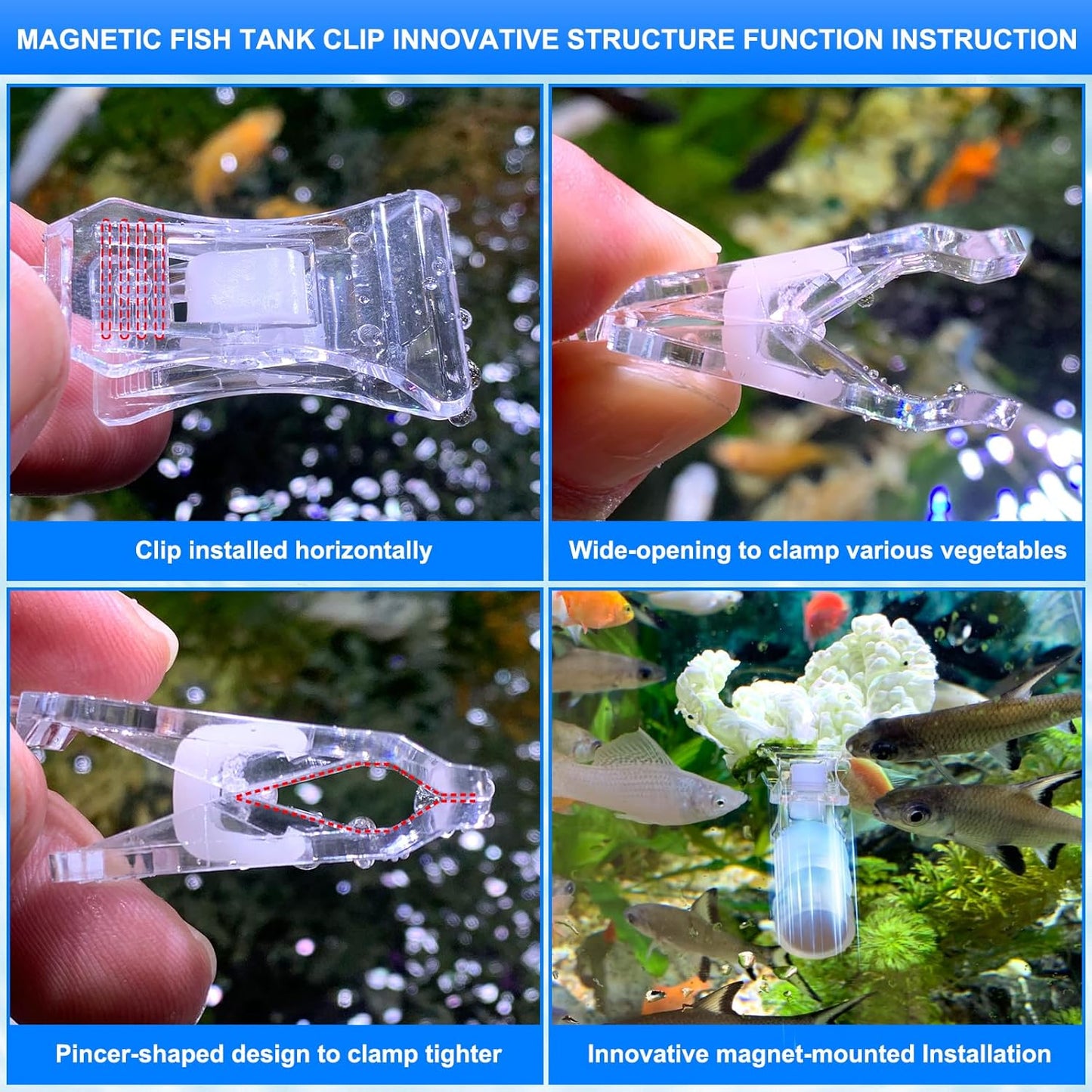 Clip magnético nori para alimentar peces acuario