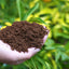 Fibra coco para cultivo macetas pH equilibrado