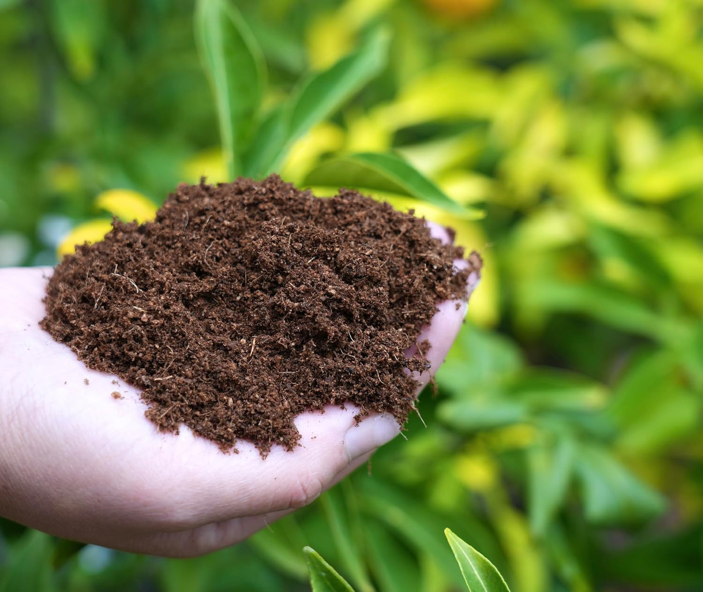 Fibra coco para cultivo macetas pH equilibrado