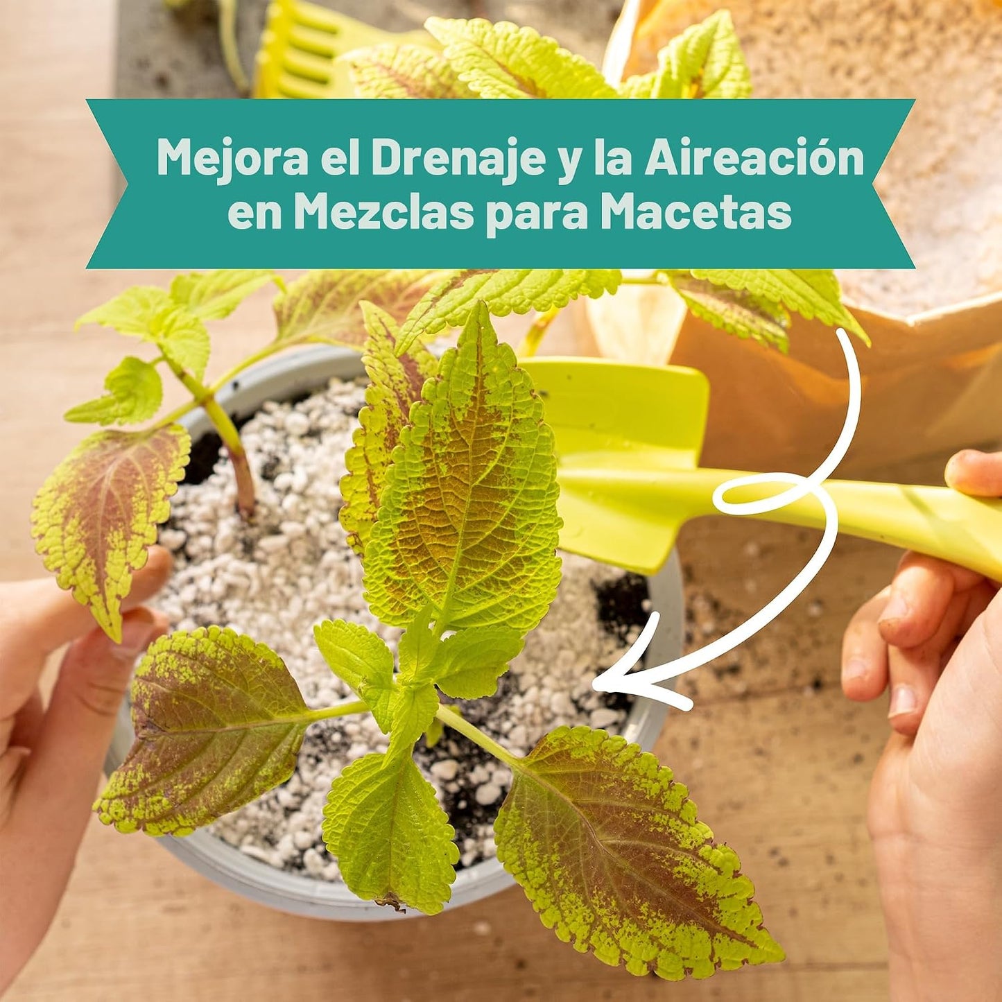 Perlita orgánica para plantas interior y exterior