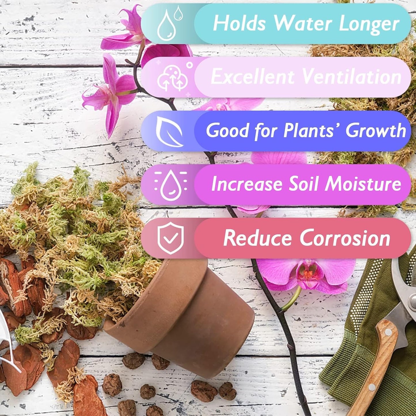 Musgo esfagnum premium 3.6oz para plantas interiores y orquídeas