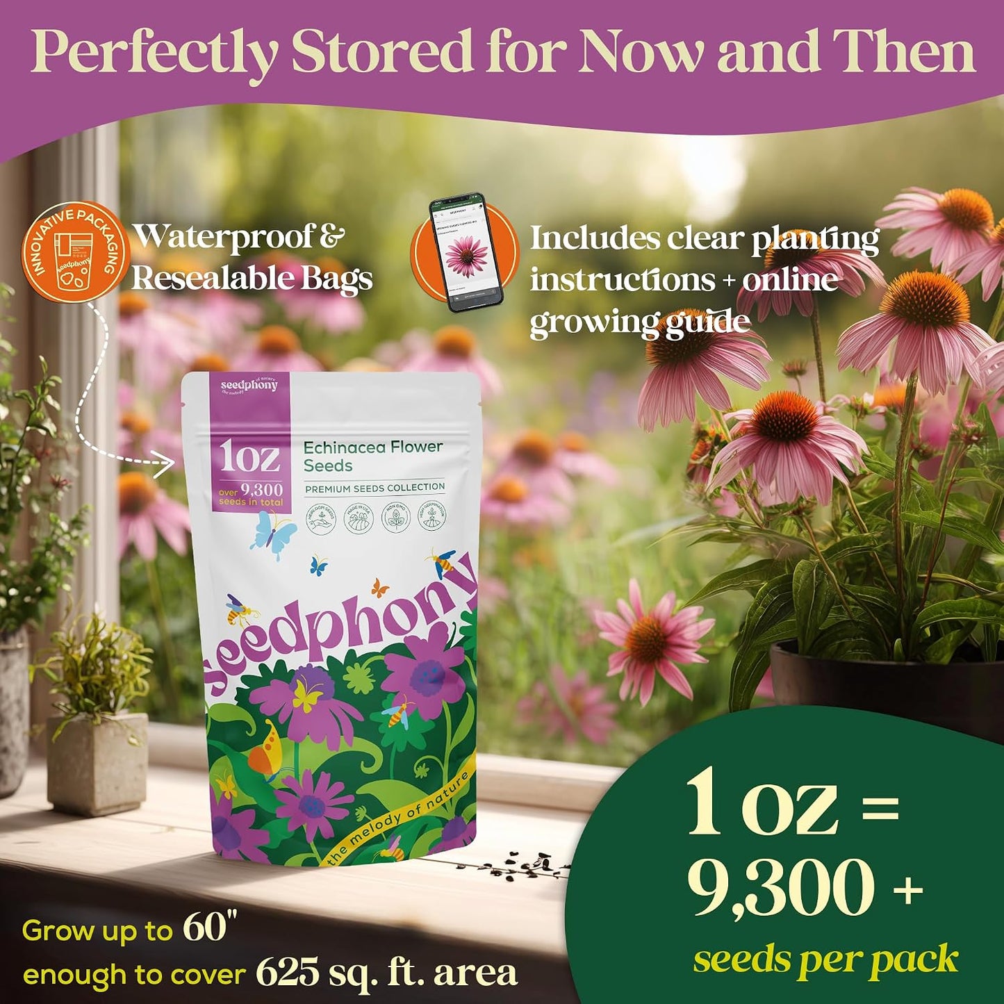 Paquete 1oz semillas equinácea sin OMG para jardín
