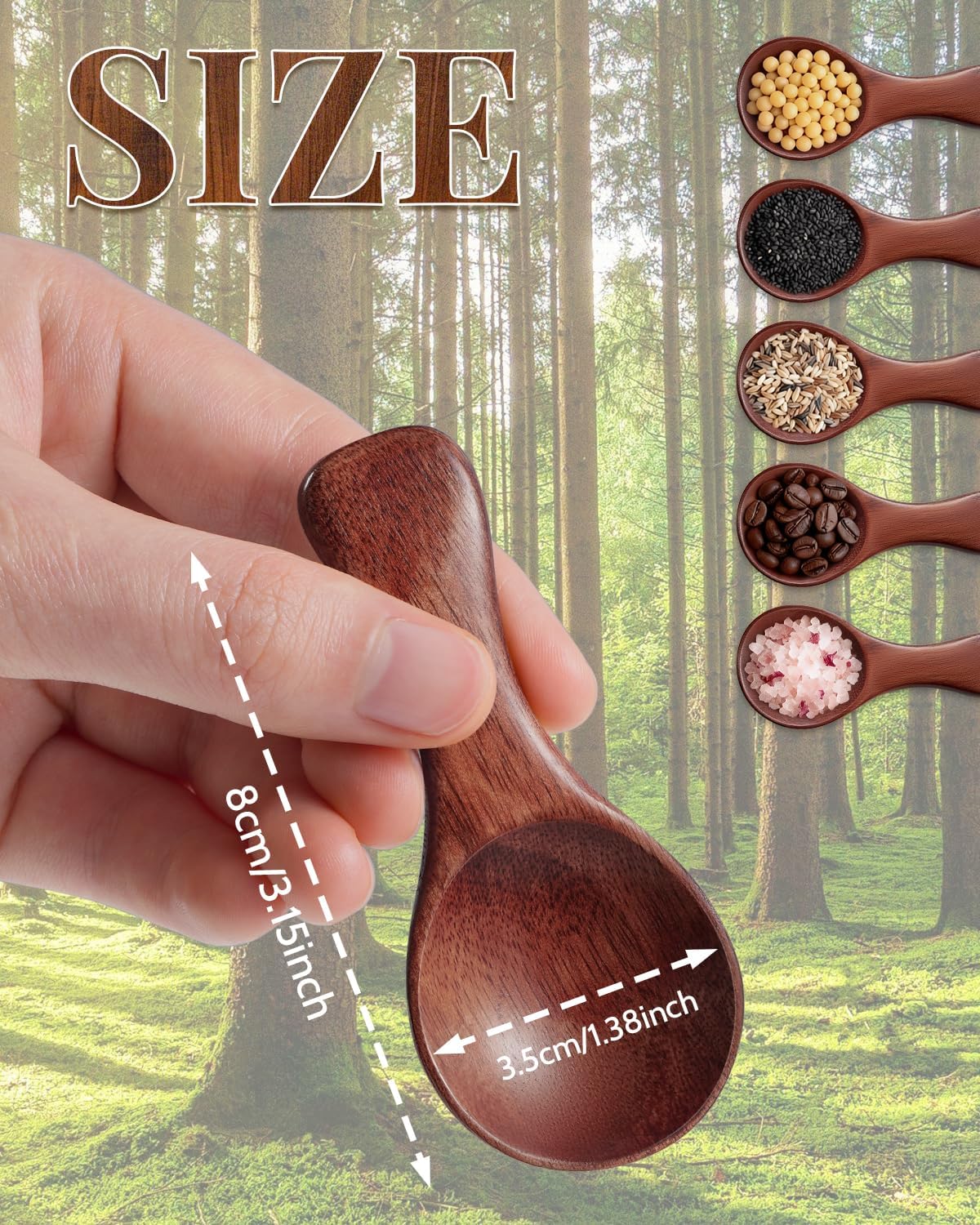 Cucharas pequeñas de madera MORGLES para azúcar, miel, café y té